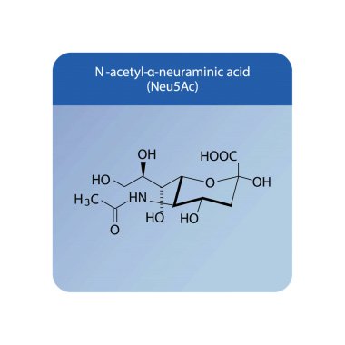 N-asetil nöroaminik asit (Neu5Ac) moleküler yapı diyagramı - sialik asit. Sarı Bilimsel vektör çizimi.