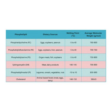 Fosfolipid türlerini, beslenme kaynaklarını, erime noktası ve moleküler ağırlığı gösteren tablo - PC, PE, PS, PI, SM, kolesterol Mavi ve pembe bilimsel vektör illüstrasyonunu içerir.