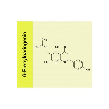 6-Prenylnaringenin iskelet yapısı şeması.Prenylated flavonoid bileşiği molekülü sarı arkaplan üzerine bilimsel illüstrasyon.