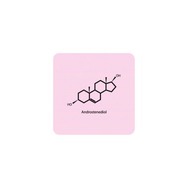 Steroid hormonlarının enzimsel dönüşümünü gösteren diyagram Oestrone ve Oestrone sülfata Oestradiol. biyokimyasal metabolik endojen reaksiyon.