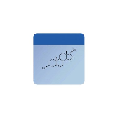 Steroid hormonlarının enzimsel dönüşümünü gösteren diyagram Oestrone ve Oestrone sülfata Oestradiol. biyokimyasal metabolik endojen reaksiyon.