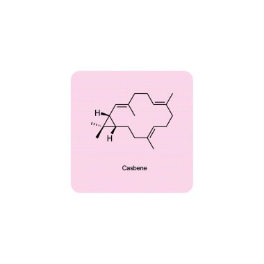 Steroid hormonlarının enzimsel dönüşümünü gösteren diyagram Oestrone ve Oestrone sülfata Oestradiol. biyokimyasal metabolik endojen reaksiyon.