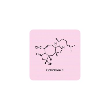 Steroid hormonlarının enzimsel dönüşümünü gösteren diyagram Oestrone ve Oestrone sülfata Oestradiol. biyokimyasal metabolik endojen reaksiyon.