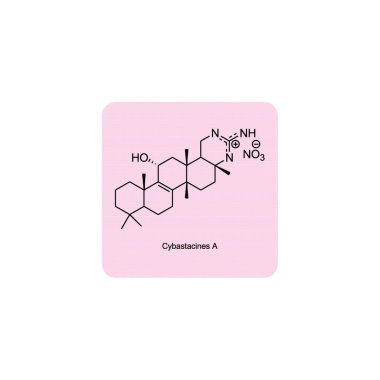 Steroid hormonlarının enzimsel dönüşümünü gösteren diyagram Oestrone ve Oestrone sülfata Oestradiol. biyokimyasal metabolik endojen reaksiyon.