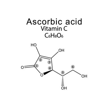 Steroid hormonlarının enzimsel dönüşümünü gösteren diyagram Oestrone ve Oestrone sülfata Oestradiol. biyokimyasal metabolik endojen reaksiyon.