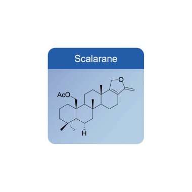 Scalarane skeletal structure diagram.Sesterterpene compound molecule scientific illustration on blue background. clipart
