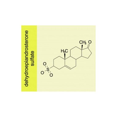 dehydroepiandrosterone sulfate skeletal structure diagram.Steroid hormone compound molecule scientific illustration on yellow background. clipart