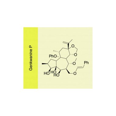 Genkwanine P iskelet yapısı diyagramı. Diterpenoid bileşiği molekülü sarı arkaplan üzerine bilimsel çizim.