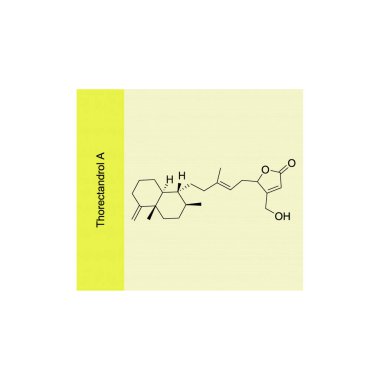 Thorectandrol A skeletal structure diagram.Sesterterpene compound molecule scientific illustration on yellow background. clipart