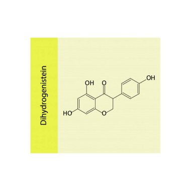 Dihydrogenistein iskelet yapısı diyagramı. Isoflavanone bileşiği molekülü sarı arkaplan üzerine bilimsel illüstrasyon.