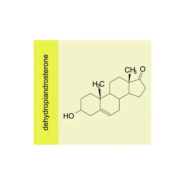 stock vector dehydropiandrosterone skeletal structure diagram.Steroid hormone compound molecule scientific illustration on yellow background.