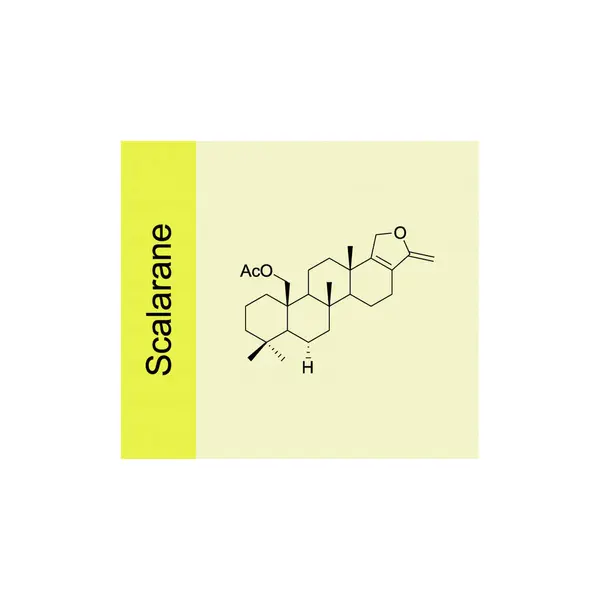stock vector Scalarane skeletal structure diagram.Sesterterpene compound molecule scientific illustration on yellow background.