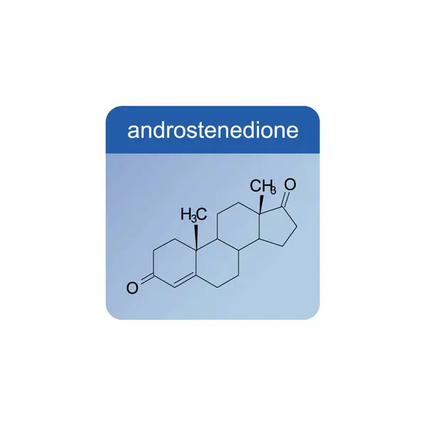 stock vector androstenedione skeletal structure diagram.Steroid hormone compound molecule scientific illustration on blue background.