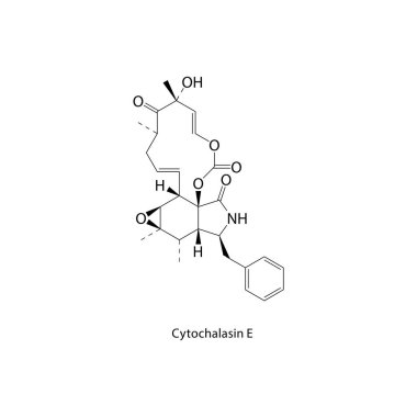Sitokalazin E iskelet yapısı. Mikotoksin bileşik şematik çizim. Basit diyagram, kimyasal formül..