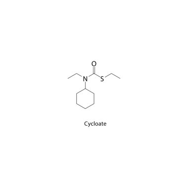 Cycloate iskelet yapısı. Tiyokarbamat bitki öldürücü bileşik şematik illüstrasyon. Basit diyagram, kimyasal formül..