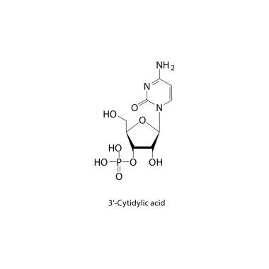 3-Cytidylic asit iskelet yapısı. Nükleotid bileşik şematik illüstrasyon. Basit diyagram, kimyasal formül..
