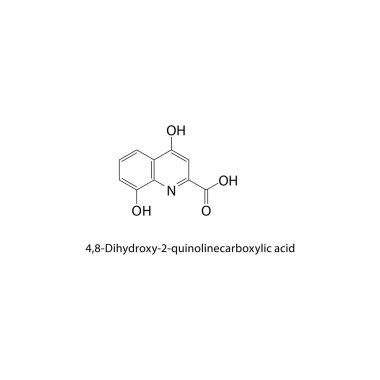 4,8-Dihydroxy-2-quinolinecarboxylic asit iskelet yapısı. Basit diyagram, kimyasal formül..