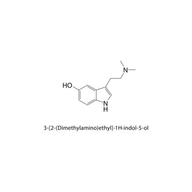 3-2-( Dimethylamino) etil-1H-indol-5-ol iskelet yapısı. Basit diyagram, kimyasal yapı.