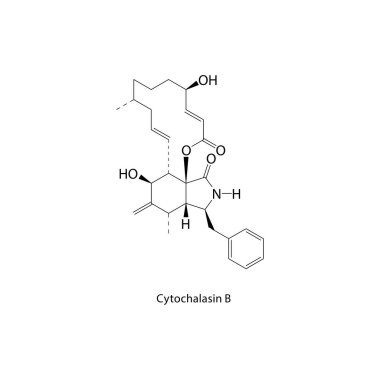 Sitokalaşin B iskelet yapısı. Mikotoksin bileşik şematik çizim. Basit diyagram, kimyasal formül..  