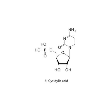 5-Cytidylic asit iskelet yapısı. Nükleotid bileşik şematik illüstrasyon. Basit diyagram, kimyasal formül..
