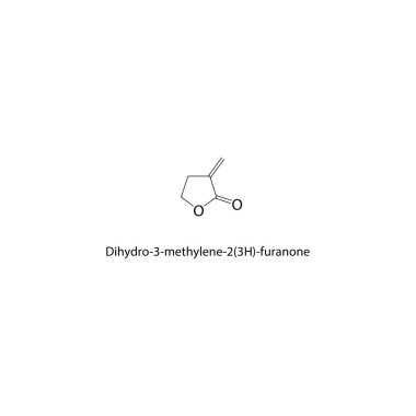 Dihydro-3-metilen-2 (3H) -furanon iskelet yapısı. Metilen Furanone bileşik şematik çizim. Basit diyagram, kimyasal formül..