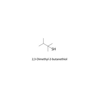 2,3-Dimetil-2-Butanethiol iskelet yapısı. Thiol bileşik şematik illüstrasyon. Basit diyagram, kimyasal formül..