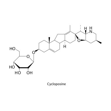 Cycloposine iskelet yapısı. Alkaloit bileşik şematik çizim. Basit diyagram, kimyasal formül..