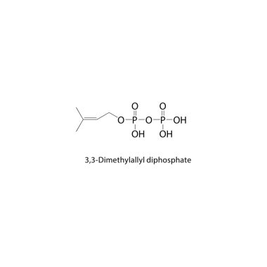 3,3-Dimethylallyl difosfat iskelet yapısı. Basit diyagram, kimyasal yapı.