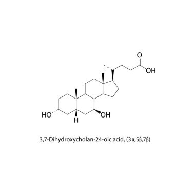 kimyasal formül 3,7-Dihydroxycholane-24-ova asit vektör çizimi