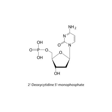 2-Deoksicytidine 5-monofosfat iskelet yapısı. Nükleotid bileşik şematik illüstrasyon. Basit diyagram, kimyasal formül..