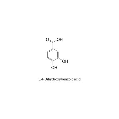 3,4-Dihydroxybenzoic asit iskelet yapısı. Benzoik asit bileşik şematik çizim. Basit diyagram, kimyasal formül..