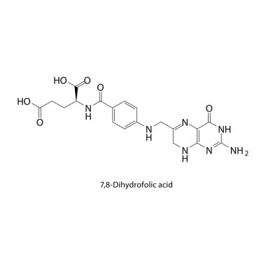 7,8-Dihydrofolik asit iskelet yapısı. Folate Türevi bileşik şematik çizim. Basit diyagram, kimyasal formül..