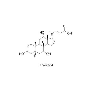 Cholik asit iskelet yapısı. Bile asit bileşiği şematik illüstrasyon. Basit diyagram, kimyasal formül..