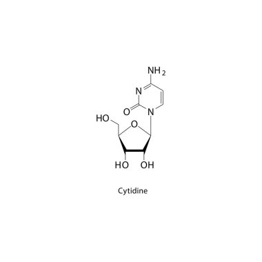 Cytidine iskelet yapısı. Nükleer bileşik şematik çizim. Basit diyagram, kimyasal formül..