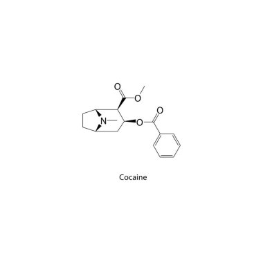 Kokain iskelet yapısı. Alkaloit bileşik şematik çizim. Basit diyagram, kimyasal formül..