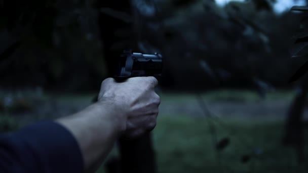 Puxe Gatilho Arma Aponta Para Arma — Vídeo de Stock