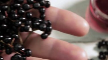 Yakın plan Doğal Yaşlı Böğürtlen ellerinde. Çiftçinin elinde böğürtlen. Böğürtlen hasatı