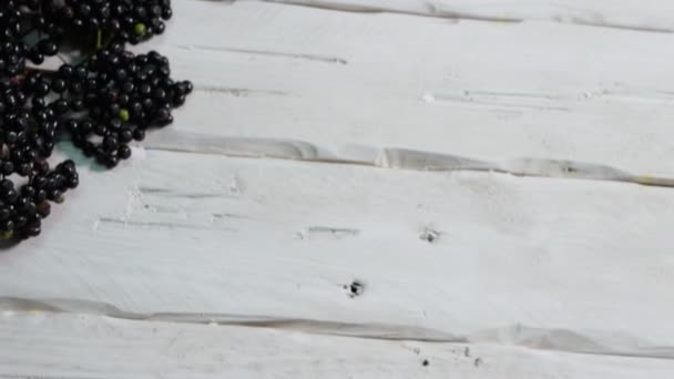 Visão Superior Sumo Sabugueiro Natural Frasco Vidro Uma Mesa Branca — Vídeo de Stock