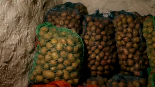 Patatas Cosechadas Bolsas Una Habitación Oscura Fresca Almacén Patatas Recién — Vídeos de Stock