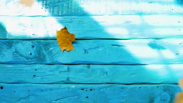 Herfst Achtergrond Bladeren Valt Vintage Blauwe Tafel Geel Gebladerte Kopieerruimte — Stockvideo