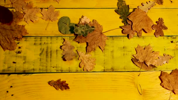 金秋背景 落叶木板上美丽的秋天背景 — 图库视频影像