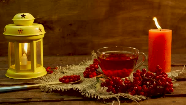 Kırmızı Viburnum Böğürtleninden Nautarl Kırmızı Çay Böğürtlene Dayalı Sağlıklı Naturopati — Stok video