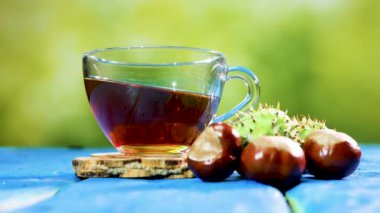  Yeşil yaz bokeh arka planında şeffaf bir fincanda kestane esmer çay. Kestane yapraklarından elde edilen ilaç tentürü. İyileştirme içeceği..