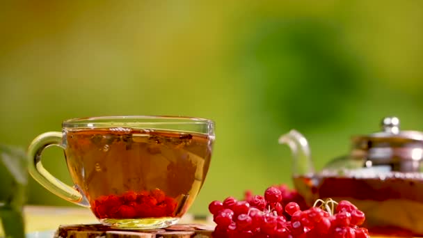 閉じる赤いビブラムベリーからお茶 木製のテーブルの上にティーポットと透明なカップの中の天然のお茶 緑茶を背景にした薬用ベリーティー — ストック動画
