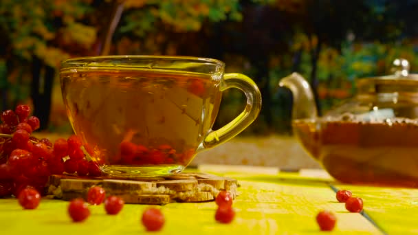 Ягодный Чай Прозрачной Чашке Столе Лесу Натуральный Чай Красной Ягоды — стоковое видео