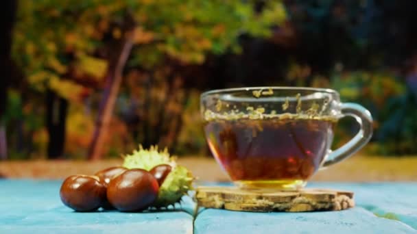 Közelkép Bogyós Tea Egy Átlátszó Csészében Asztalon Háttérben Őszi Erdő — Stock videók
