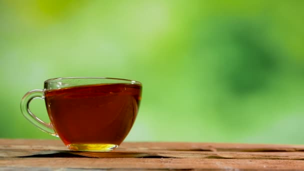 透明なカップの中の紅茶 透明カップの中の熱いお茶緑の夏のボケを背景に — ストック動画