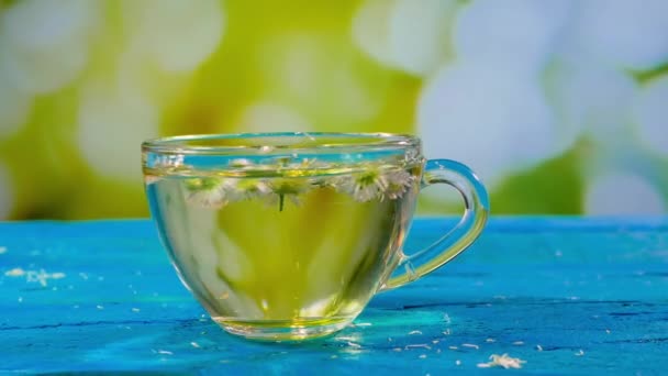 在透明的玻璃杯里放甘菊茶 在夏天的背景下 用花瓣芬芳的药茶 同种异体饮料促进健康 — 图库视频影像