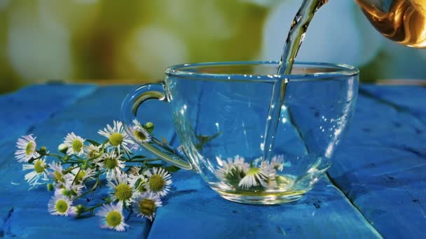 将煮好的茶壶中的甘菊茶倒入透明的玻璃杯中 在夏天的背景下 用花瓣芬芳的药茶 同种异体饮料促进健康 — 图库视频影像