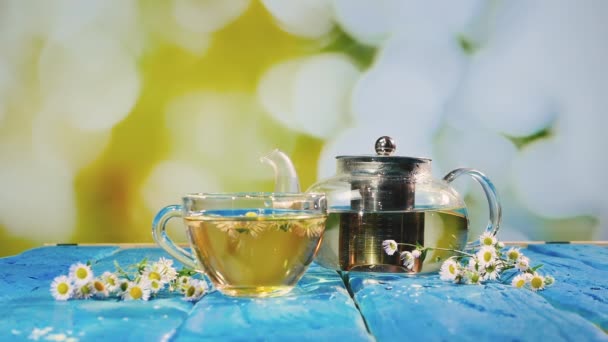 洋甘菊茶 一杯茶 茶壶放在木制蓝色桌子上 在夏天的背景下 用花瓣芬芳的药茶 同病相怜的饮酒有益于健康 自然疗法输注 — 图库视频影像